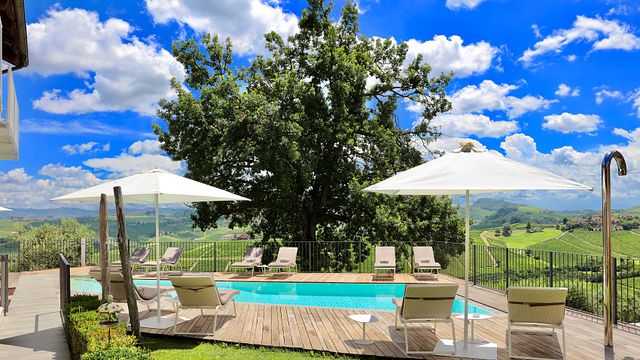 Degustação de vinhos e tour em Michele Chiarlo