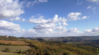 Viktigt på Tenuta Fertuna