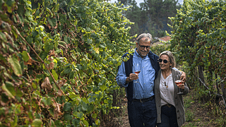 Prova de Espumantes na Quinta de Santa Cristina