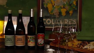 Degustazione di vini presso Viúva Gomes - Colares (gruppo privato)