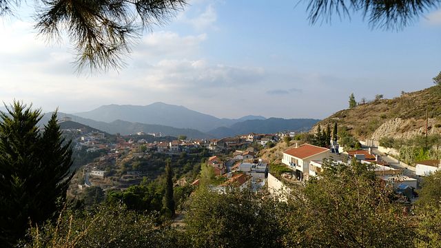 Dégustation de vins et visite de la cave Santa Irene