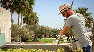 Degustazione di vini e tour alle Cantine De Gregorio