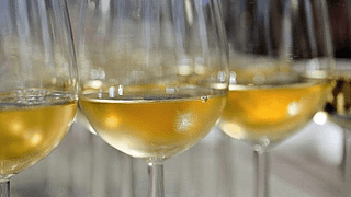 Château Suduiraut Meisterkurs