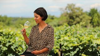 Degustação de vinhos e tour no Baia's Wine