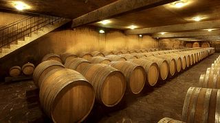 Visite et Dégustation des vins du Domaine Gitton