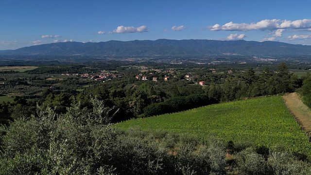 Vinprovning på Poggi del Chianti Monnanni