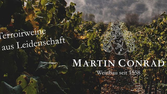 BIO-Weingut Martin Conrad