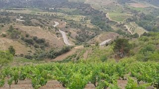 Descubra o charme do Priorat em Celler Crivellé i Valls em um tour de degustação de vinhos