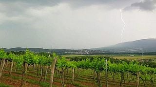 Rustica Borműhely / Rustica Winery