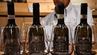 Enoturismo Terras Sagrantino