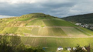 Mosel Wine & Dine: 5-Course Pairing at Beulwitz