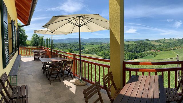 Podravska Wine & Pairing Tour at Vino Jarc