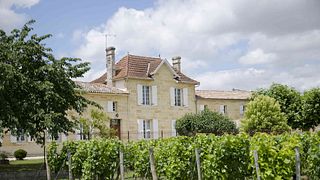 Wine Tasting Experience at Château Delacour