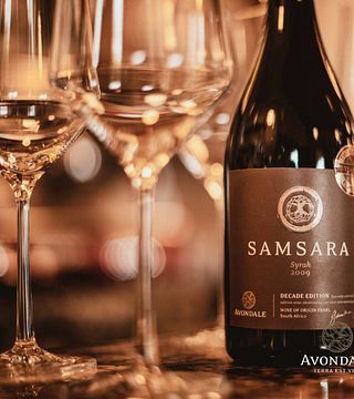 Dégustation de vins incontournables au domaine viticole d'Avondale