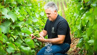 Champagnerverkostung und Prestige-Tour bei Champagne J. de Telmont