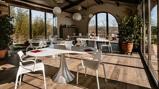 Carpineta Fontalpino Winery