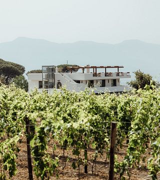 Degustazione di vini e visita alla Cantina Del Vesuvio