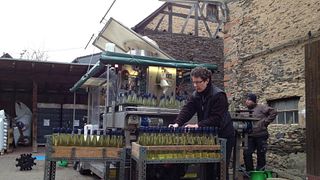 Dégustation de vins et visite du Weingut Dr. Leimbrock