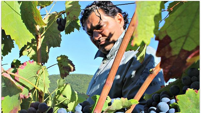 Tenuta Leonardo