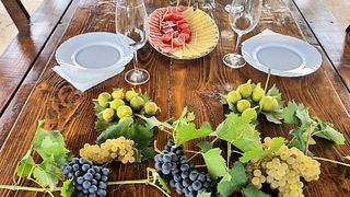 Weingarten – Mittagessen im Weinberg bei Winery Franić