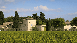 Degustazione di vini e visita al Domaine de Mas Caron