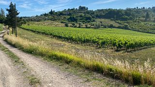 L’Agona Vini