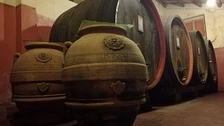 Cantina Fongoli