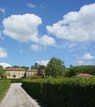 Degustazione di vini e tour allo Château Saint Estève d'Uchaux