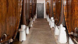 Weinprobe und Tour bei Sidras Bereziartua