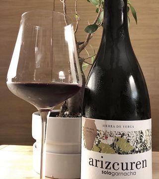 Weinprobe und Tour bei Arizcuren
