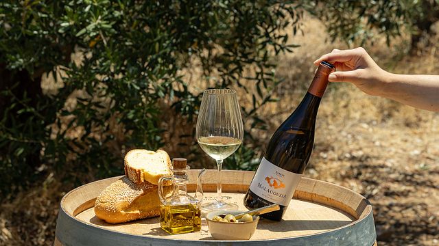 Lykos Winery