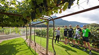 Dégustation de vins et visite du Pago De Larrainzar