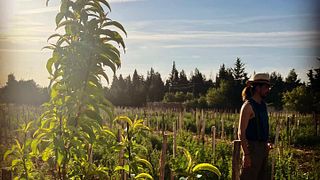Domaine Mayard