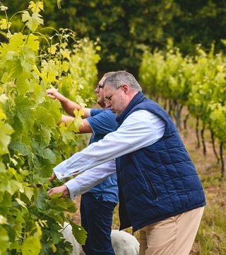Domaine Edegger