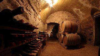 Veneto Natural Wine Tour at Terre Di Pietra