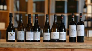 Lisbon Vineyard Tour & Gourmet Wine Tasting