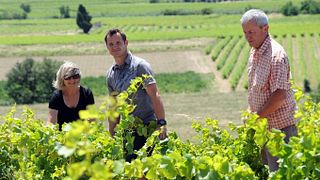Degustação de vinhos e tour no Domaine des Schistes