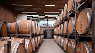 Cata de vinos y visita guiada en Weingut Gesellmann