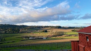 Cata de vinos y visita a la Bodega Pardis