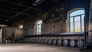 Wine Tasting at Burmester Wine Cellar