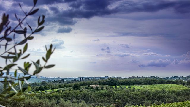 Dégustation de vins | Scheggiolla