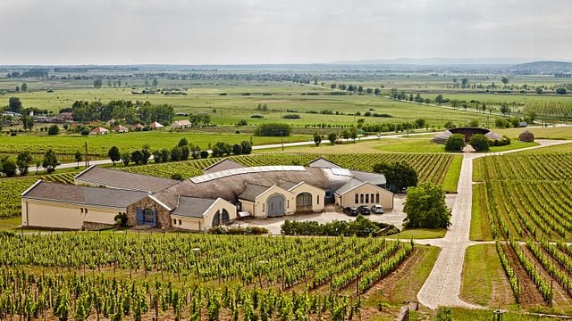 Disznókő Winery