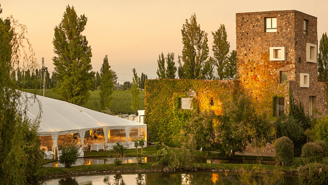 Reserva Wine Tasting and Tour at Bodega Renacer