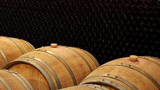Basilescu Winery