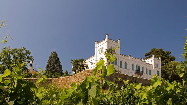 Explore a Historic Friuli Cellar with 4 Local Wines