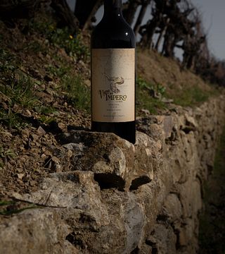 Viñedo del Imperio 1935