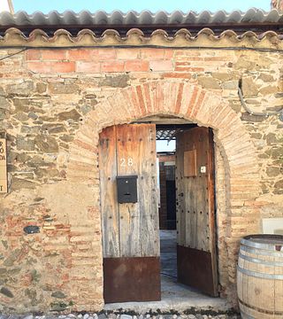 Visita di un vigneto e visita e degustazione di vini presso la cantina di Sao del Coster