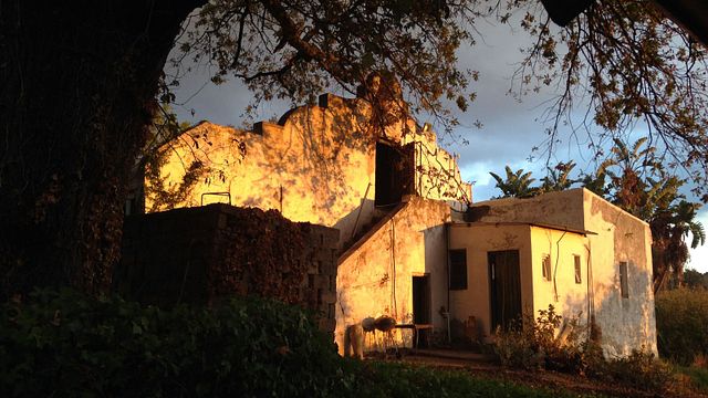 Upland Organic Estate