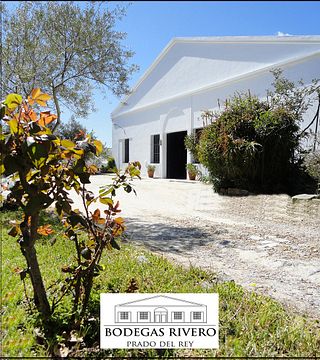 Degustazione di vini a Bodegas Rivero
