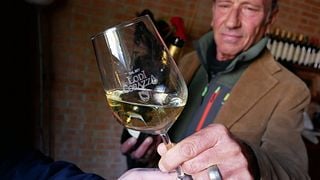 Dégustation de vins premium « Storia » : 5 accords mets et vins | Lodi Corazza